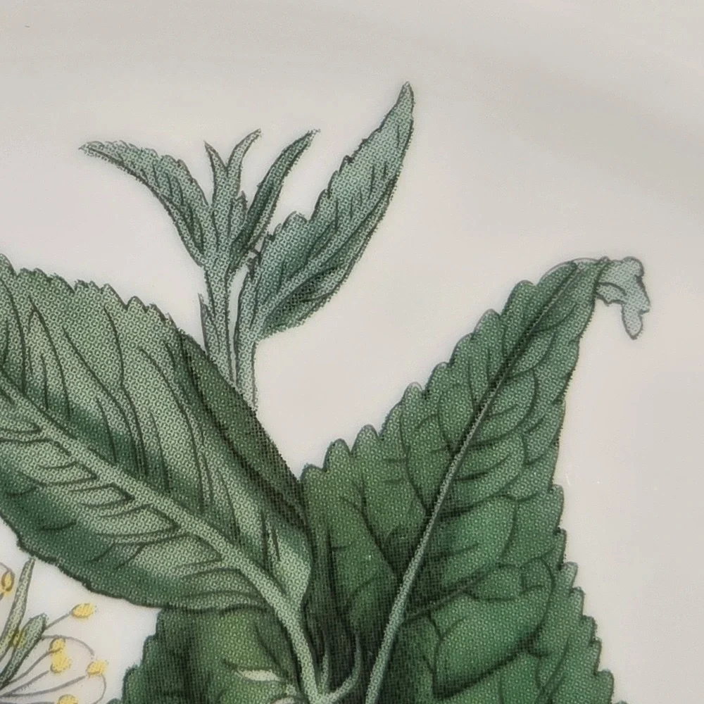 Vintage Botanical Floral Porcelain Plate Gold Filigree Scalloped‎ Rim 10.5 inch